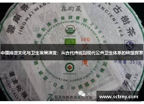 中国排泄文化与卫生发展演变：从古代传统到现代公共卫生体系的转型探索