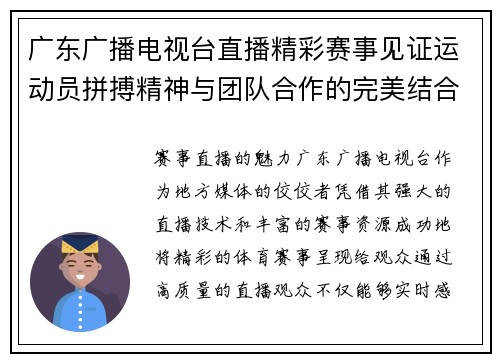 广东广播电视台直播精彩赛事见证运动员拼搏精神与团队合作的完美结合